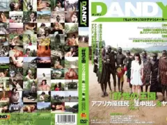 DANDY-342